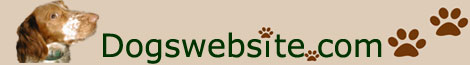 Dogswebsite.com: Information about Dogs